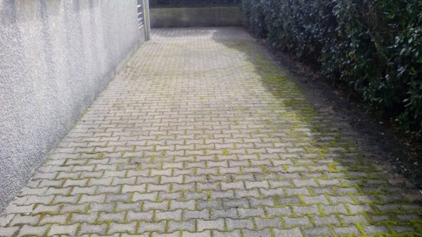 Réalisation nettoyage de toiture à Bordeaux - In Ex Multiservices