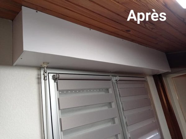 Réalisation nettoyage de toiture à Bordeaux - In Ex Multiservices